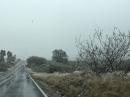 Snowy drive to San Miguel de Allende: This was a rare snowstorm in the area.  This storm was in March.